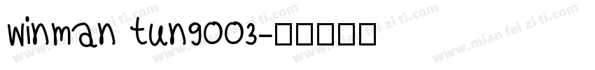 winman tun9003字体转换